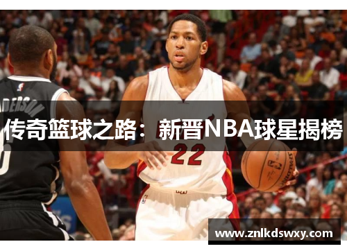 传奇篮球之路：新晋NBA球星揭榜